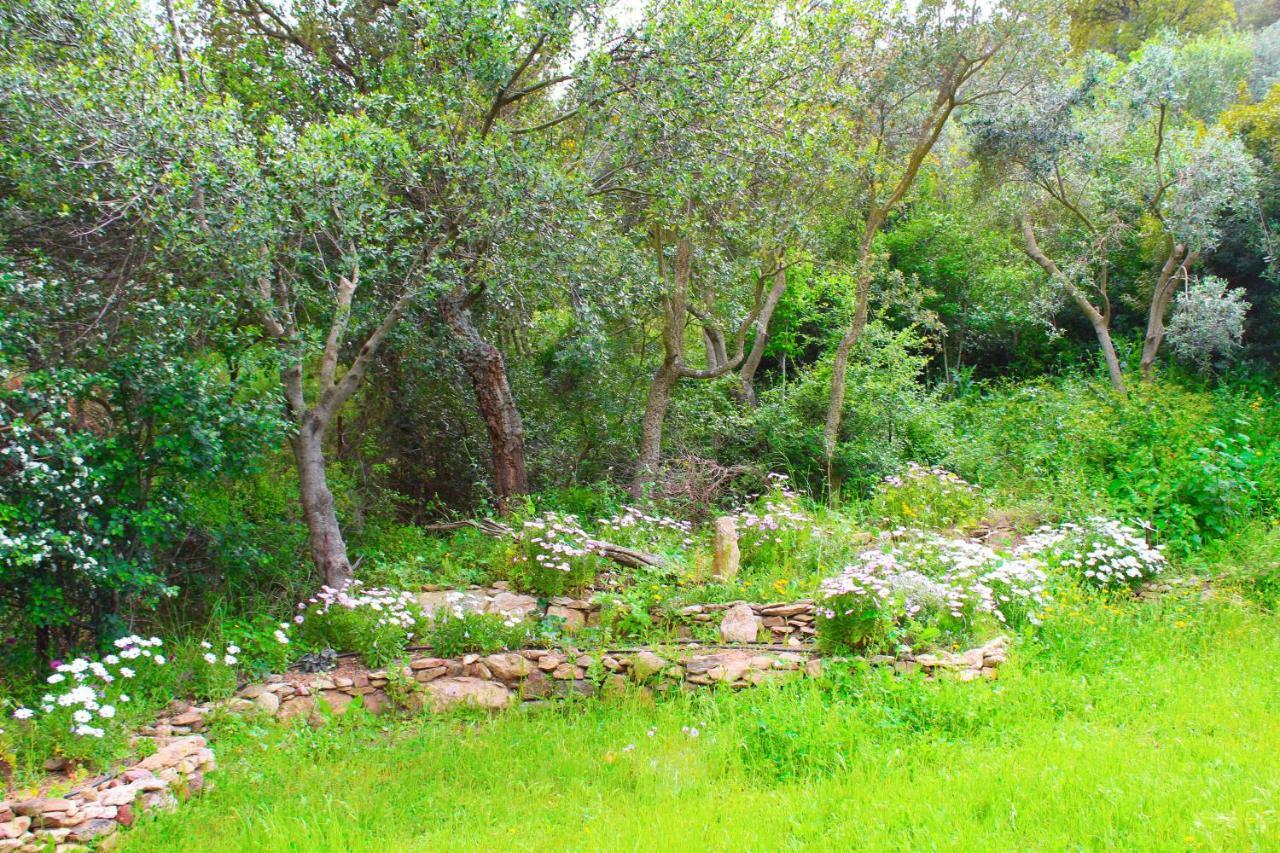 Agriturismo Sogno Latino Iglesias Exterior photo